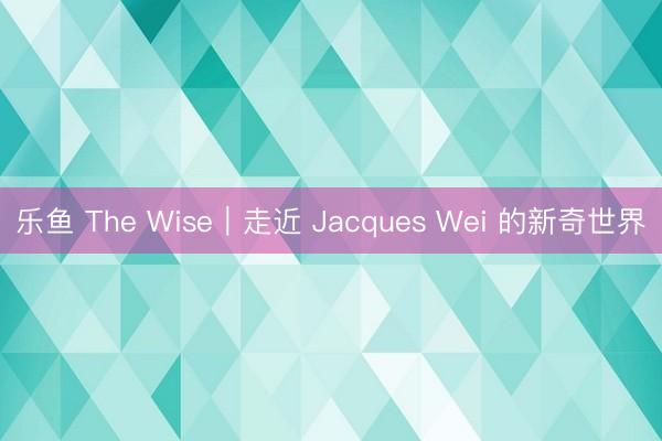 乐鱼 The Wise｜走近 Jacques Wei 的新奇世界