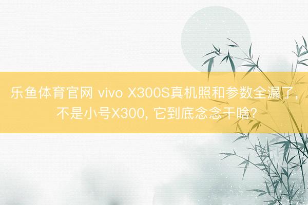 乐鱼体育官网 vivo X300S真机照和参数全漏了， 不是小号X300， 它到底念念干啥?