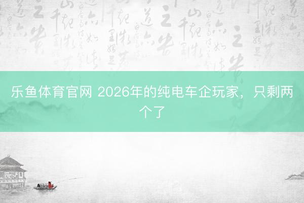 乐鱼体育官网 2026年的纯电车企玩家，只剩两个了