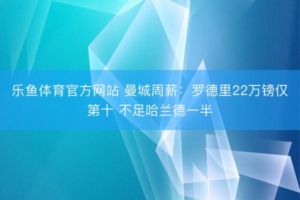 乐鱼体育官方网站 曼城周薪：罗德里22万镑仅第十 不足哈兰德一半