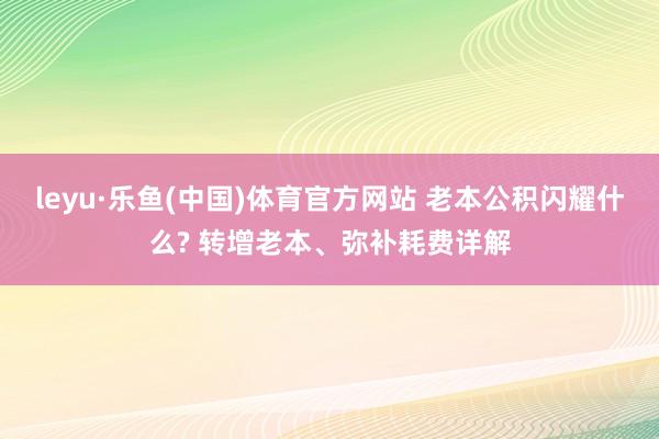 leyu·乐鱼(中国)体育官方网站 老本公积闪耀什么? 转增老本、弥补耗费详解