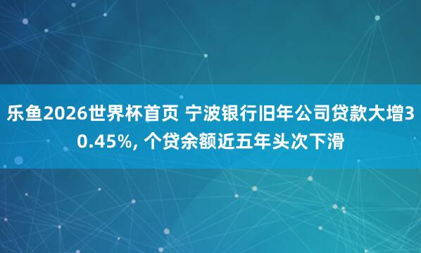 乐鱼2026世界杯首页 宁波银行旧年公司贷款大增30.45%， 个贷余额近五年头次下滑