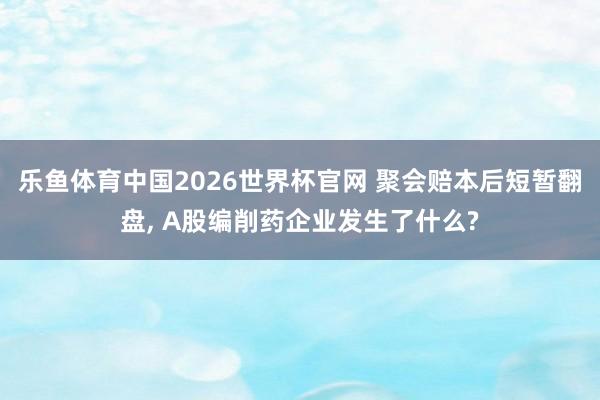 乐鱼体育中国2026世界杯官网 聚会赔本后短暂翻盘， A股编削药企业发生了什么?