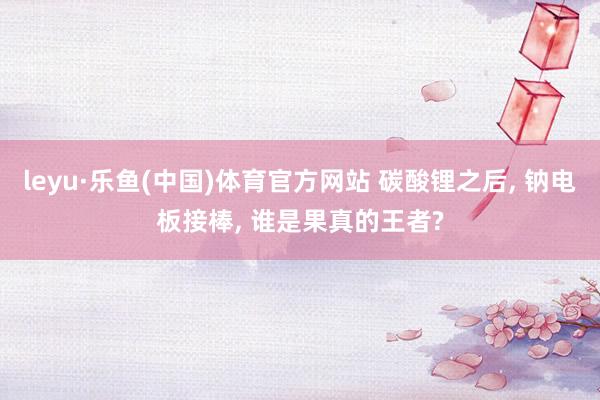 leyu·乐鱼(中国)体育官方网站 碳酸锂之后， 钠电板接棒， 谁是果真的王者?