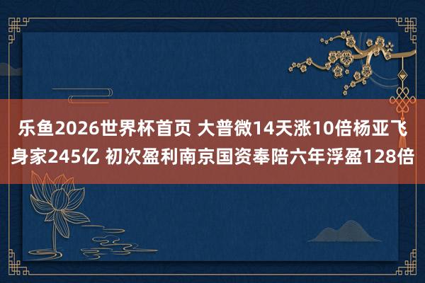 乐鱼2026世界杯首页 大普微14天涨10倍杨亚飞身家245亿 初次盈利南京国资奉陪六年浮盈128倍