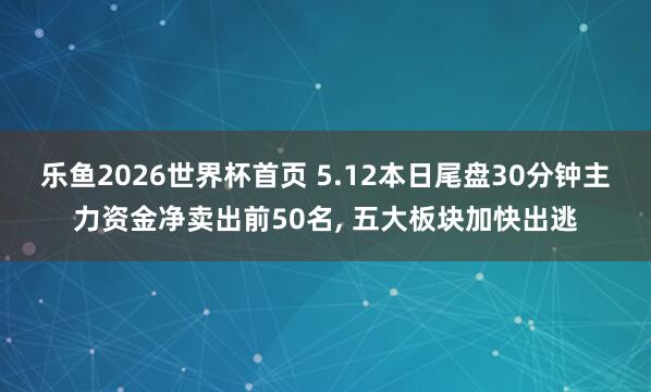 乐鱼2026世界杯首页 5.12本日尾盘30分钟主力资金净卖出前50名， 五大板块加快出逃