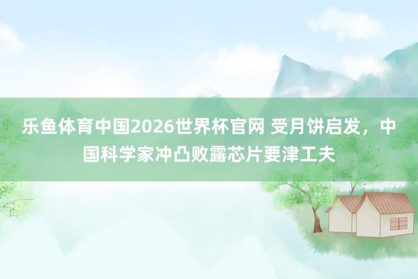 乐鱼体育中国2026世界杯官网 受月饼启发，中国科学家冲凸败露芯片要津工夫
