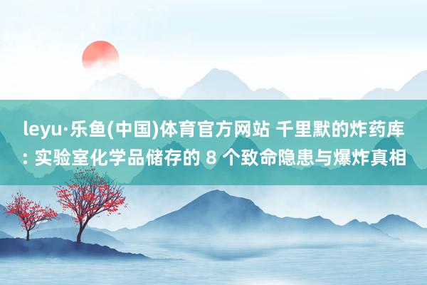 leyu·乐鱼(中国)体育官方网站 千里默的炸药库: 实验室化学品储存的 8 个致命隐患与爆炸真相