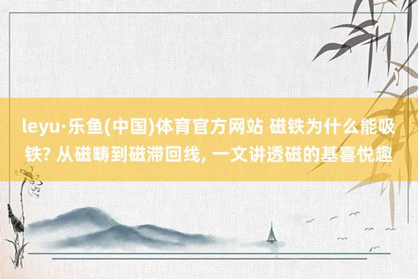 leyu·乐鱼(中国)体育官方网站 磁铁为什么能吸铁? 从磁畴到磁滞回线， 一文讲透磁的基喜悦趣
