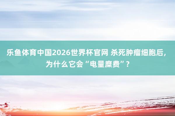 乐鱼体育中国2026世界杯官网 杀死肿瘤细胞后， 为什么它会“电量糜费”?