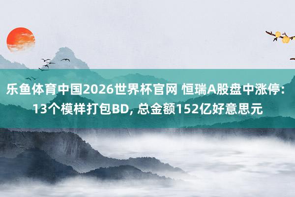 乐鱼体育中国2026世界杯官网 恒瑞A股盘中涨停: 13个模样打包BD， 总金额152亿好意思元