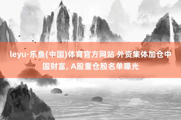 leyu·乐鱼(中国)体育官方网站 外资集体加仓中国财富， A股重仓股名单曝光