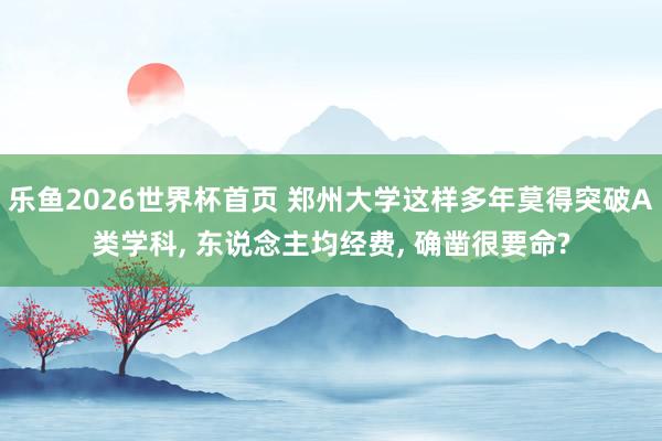 乐鱼2026世界杯首页 郑州大学这样多年莫得突破A类学科， 东说念主均经费， 确凿很要命?
