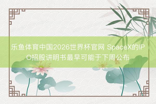 乐鱼体育中国2026世界杯官网 SpaceX的IPO招股讲明书最早可能于下周公布