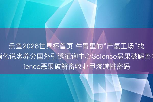 乐鱼2026世界杯首页 牛胃里的“产氢工场”找到了！国度动物消化说念养分国外引诱征询中心Science恶果破解畜牧业甲烷减排密码