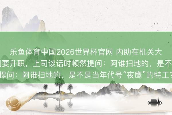 乐鱼体育中国2026世界杯官网 内助在机关大院扫了20年的地，我刚要升职，上司谈话时顿然提问：阿谁扫地的，是不是当年代号“夜鹰”的特工？