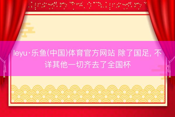 leyu·乐鱼(中国)体育官方网站 除了国足， 不详其他一切齐去了全国杯